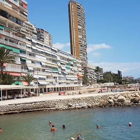 Gafner 6 * Alicante